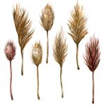 Watercolor,Illustration,Set,With,Pampas,In,Vintage,Style.,Dried,Grass,