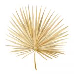 Watercolor,Golden,Dried,Fan,Palm,Leaf.,Exotic,Beige,Clipart,Isolated